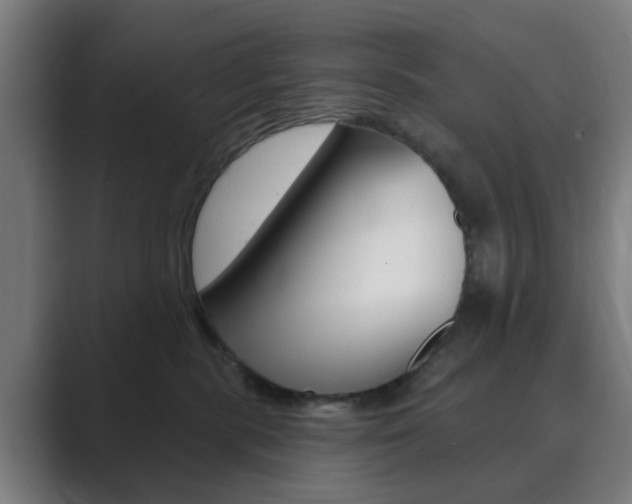 X0000089940283200706290821