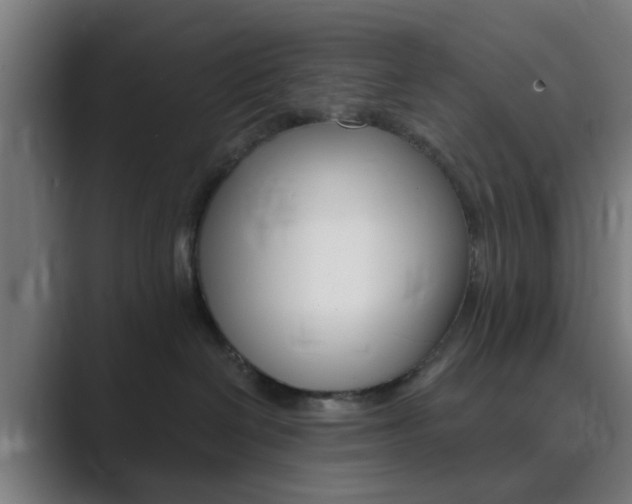 X0000089940286200706290821