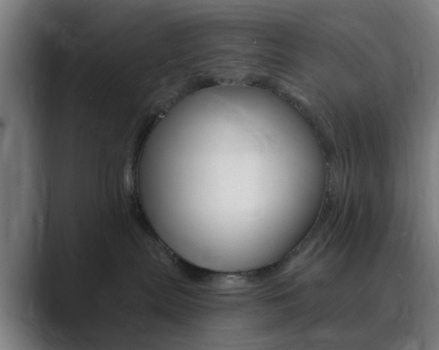 X0000089940287200706290821