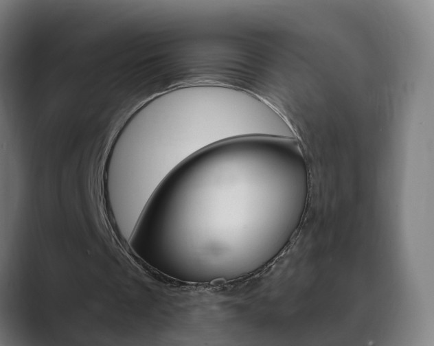 X0000089940289200706290821