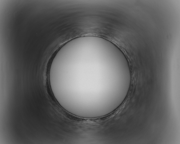 X0000089940290200706290821