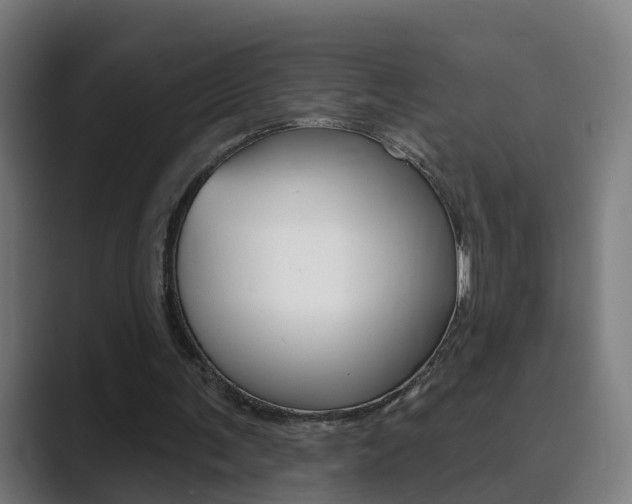 X0000089940291200706290821