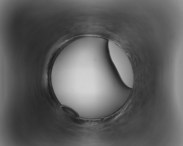 X0000089940294200706290821