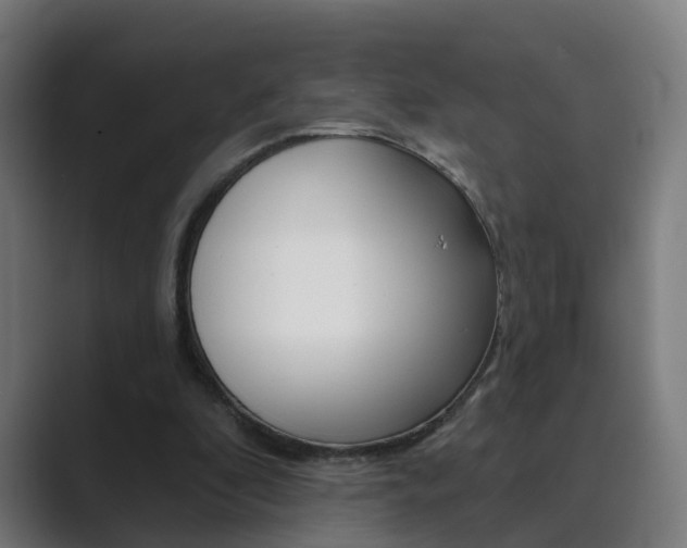 X0000089940296200706290821