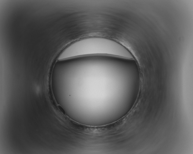 X0000089940297200706290821