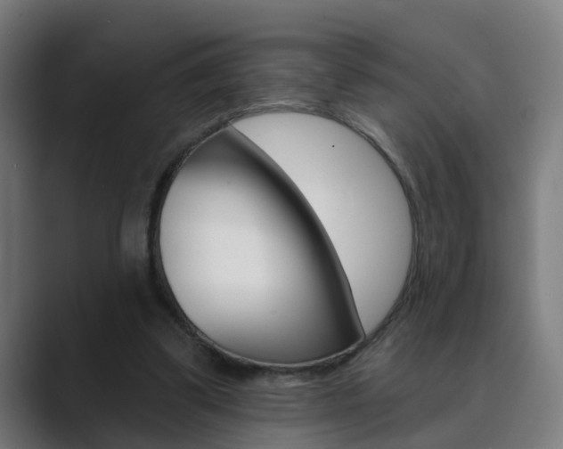X0000089940299200706290821