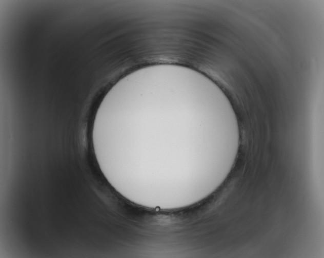 X0000089940302200706290821