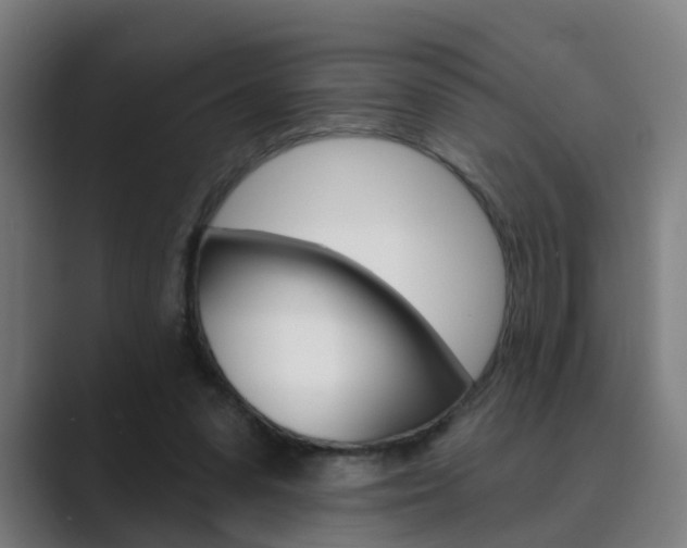 X0000089940303200706290821