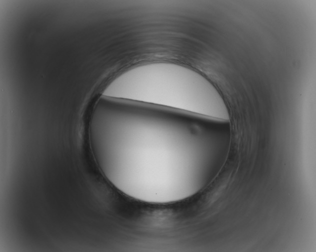 X0000089940304200706290821