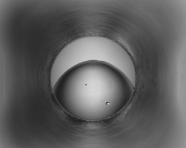 X0000089940305200706290821