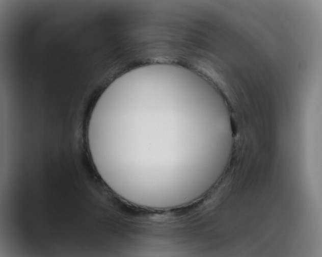 X0000089940306200706290821