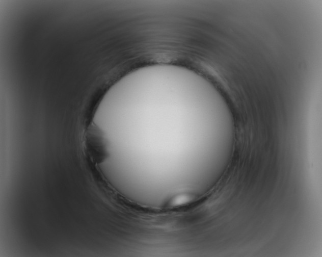 X0000089940307200706290821