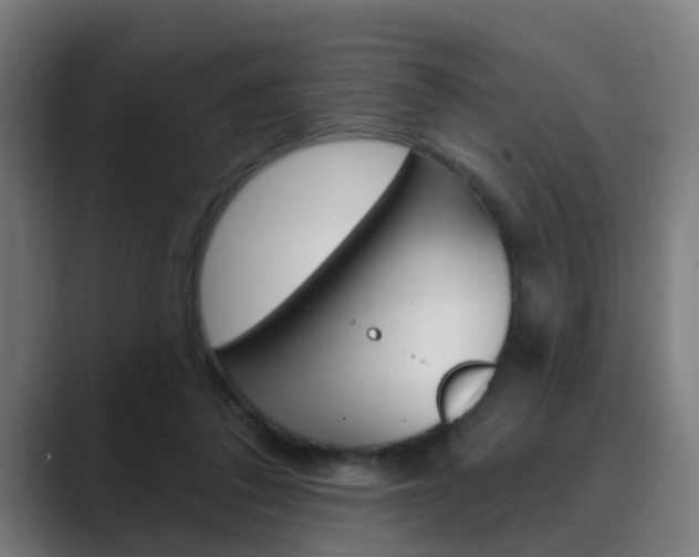 X0000089940308200706290821