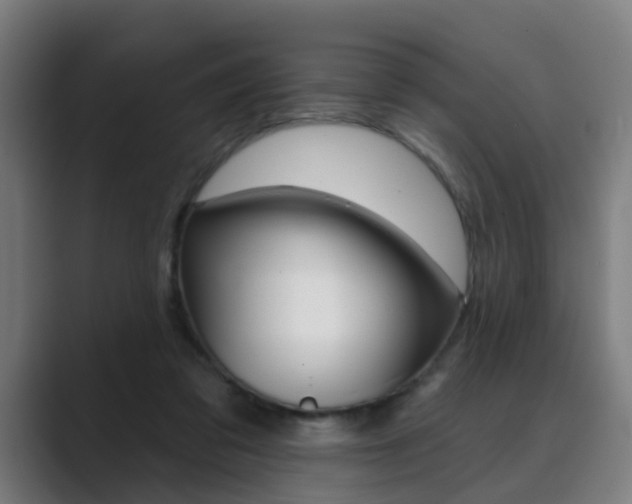 X0000089940309200706290821