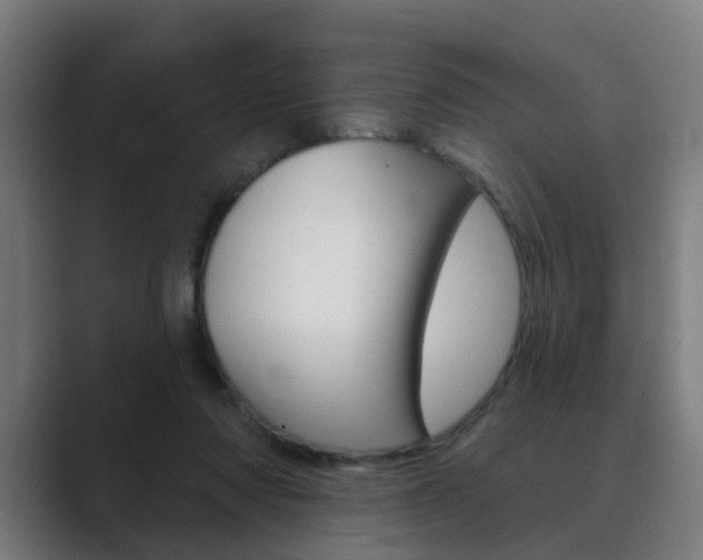 X0000089940310200706290821