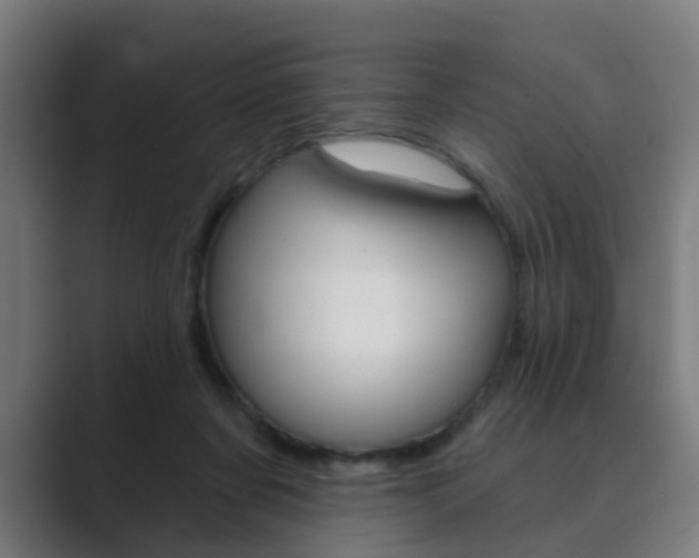 X0000089940311200706290821