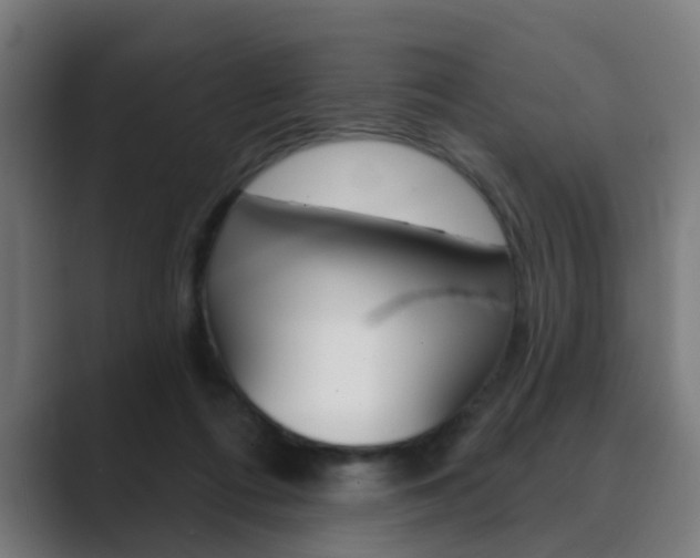 X0000089940312200706290821