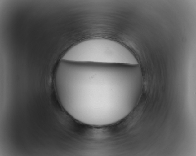 X0000089940314200706290821