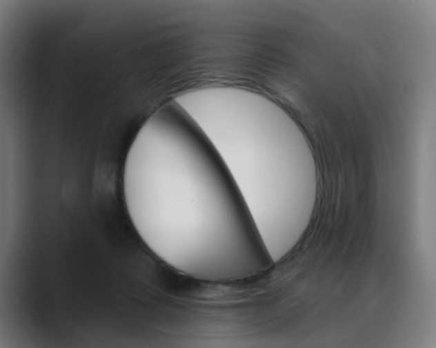 X0000089940315200706290821