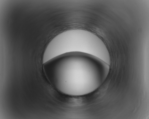 X0000089940317200706290820