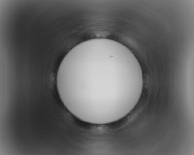X0000089940321200706290820