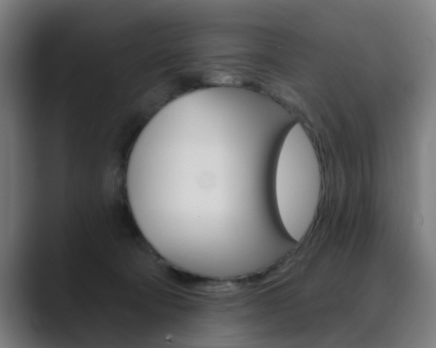 X0000089940322200706290820