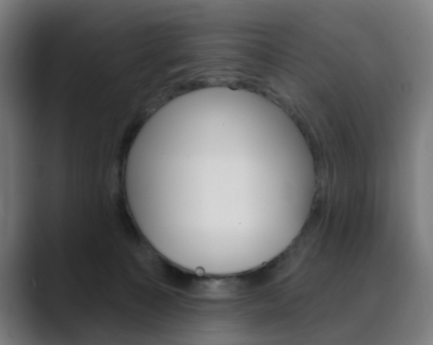 X0000089940323200706290820