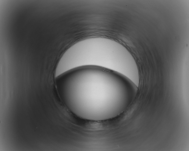 X0000089940325200706290820