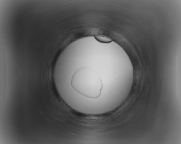 X0000089940326200706290820
