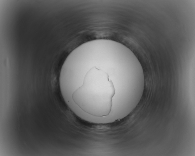 X0000089940327200706290820
