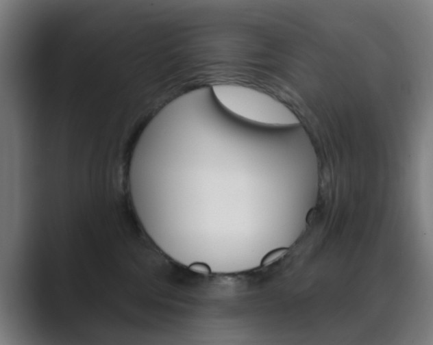 X0000089940330200706290820