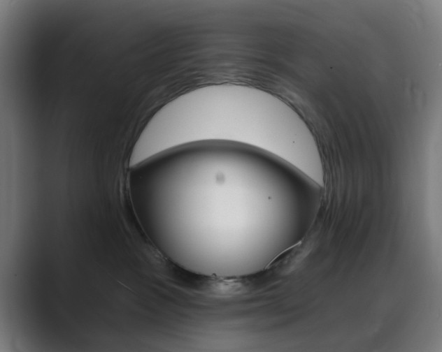 X0000089940333200706290820