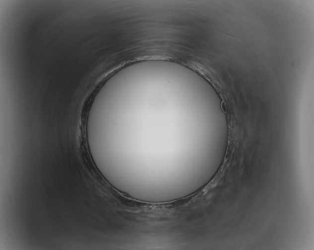 X0000089940338200706290820