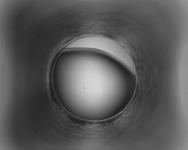 X0000089940340200706290820