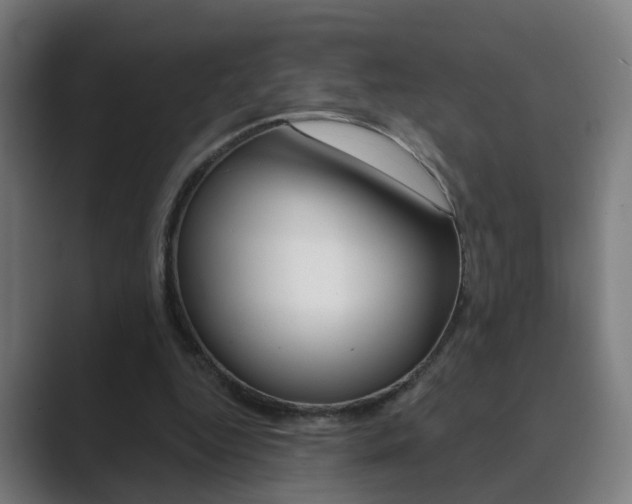 X0000089940344200706290820