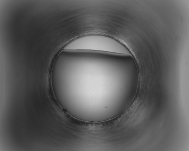 X0000089940345200706290820