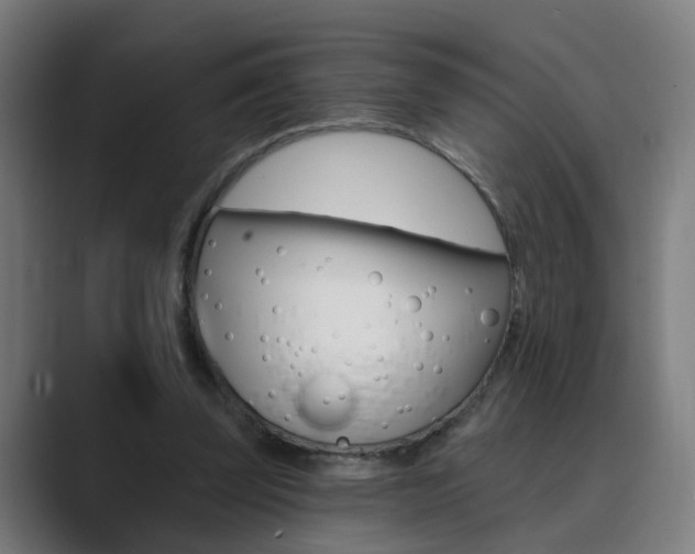 X0000089940347200706290820