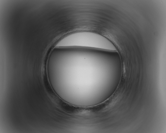 X0000089940348200706290820