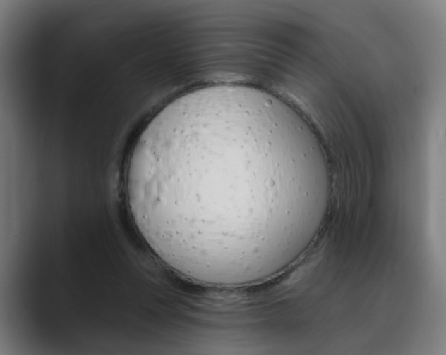 X0000089940351200706290820