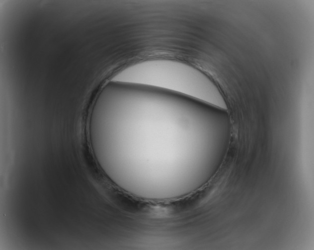 X0000089940352200706290820