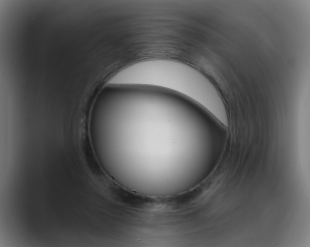 X0000089940356200706290820