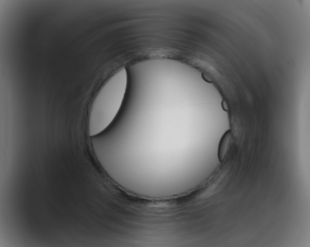 X0000089940357200706290820