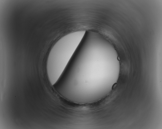 X0000089940358200706290820