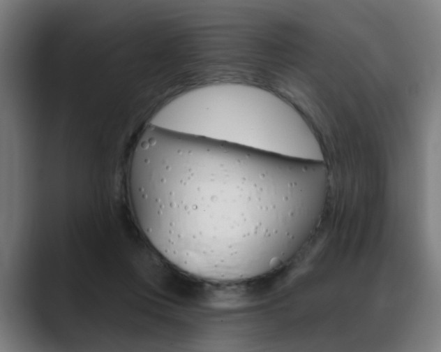 X0000089940359200706290820