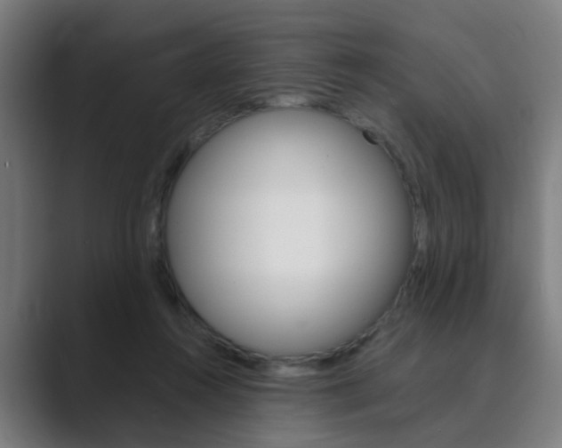 X0000089940360200706290820