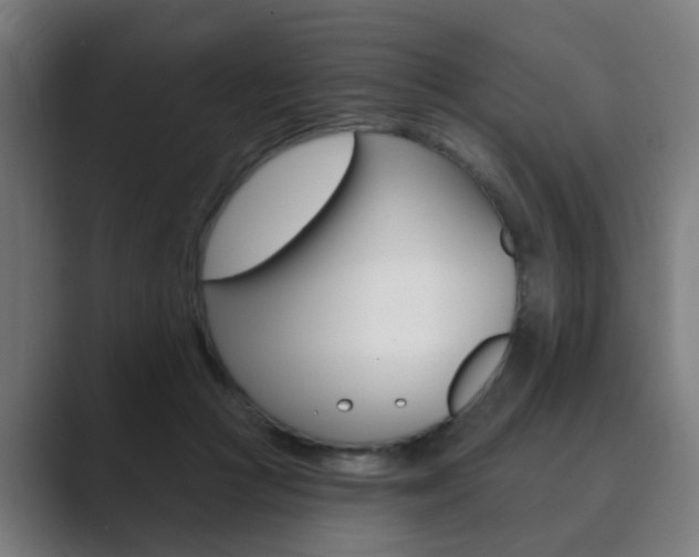 X0000089940361200706290820