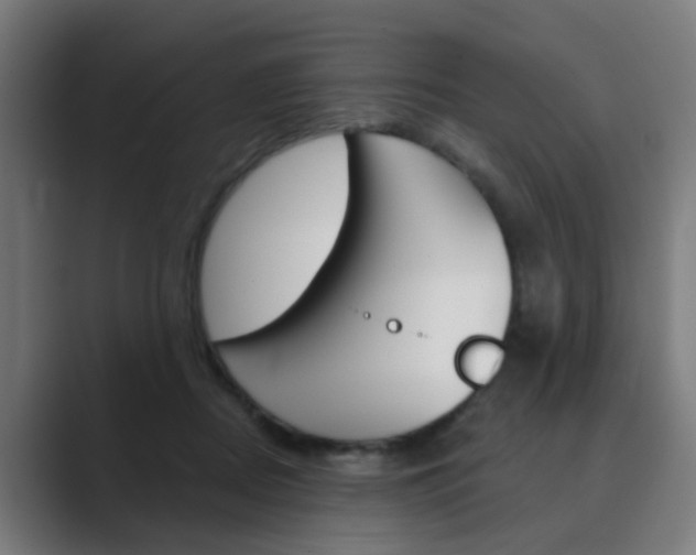 X0000089940362200706290820