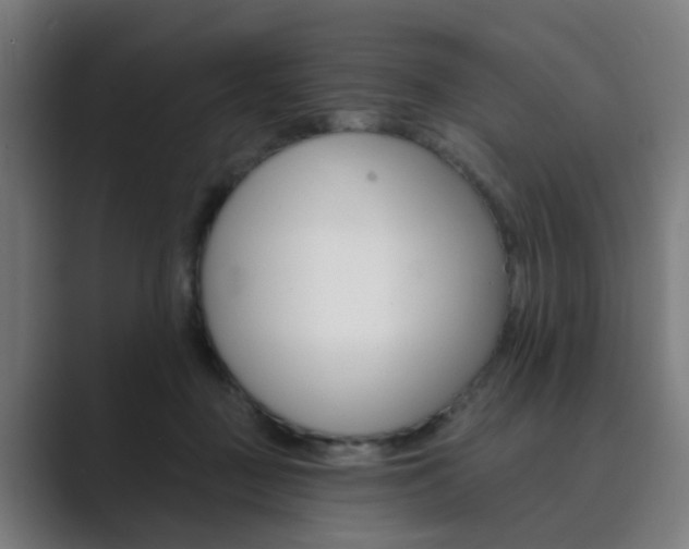 X0000089940363200706290820