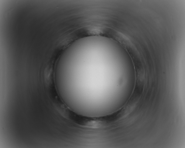 X0000089940364200706290820