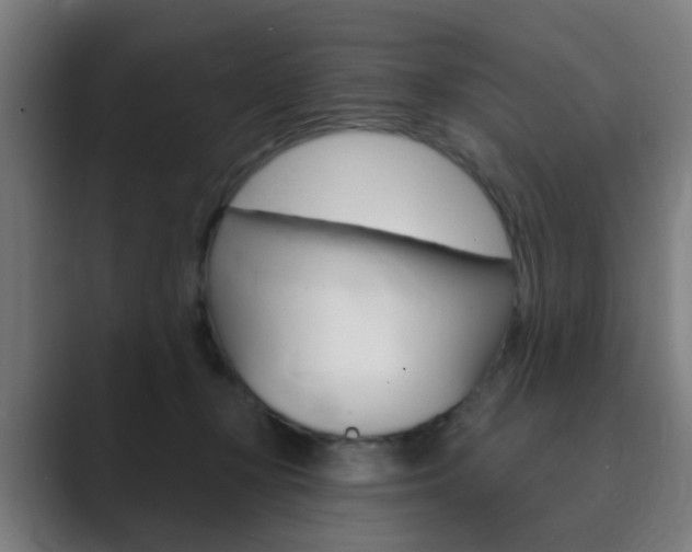 X0000089940367200706290820